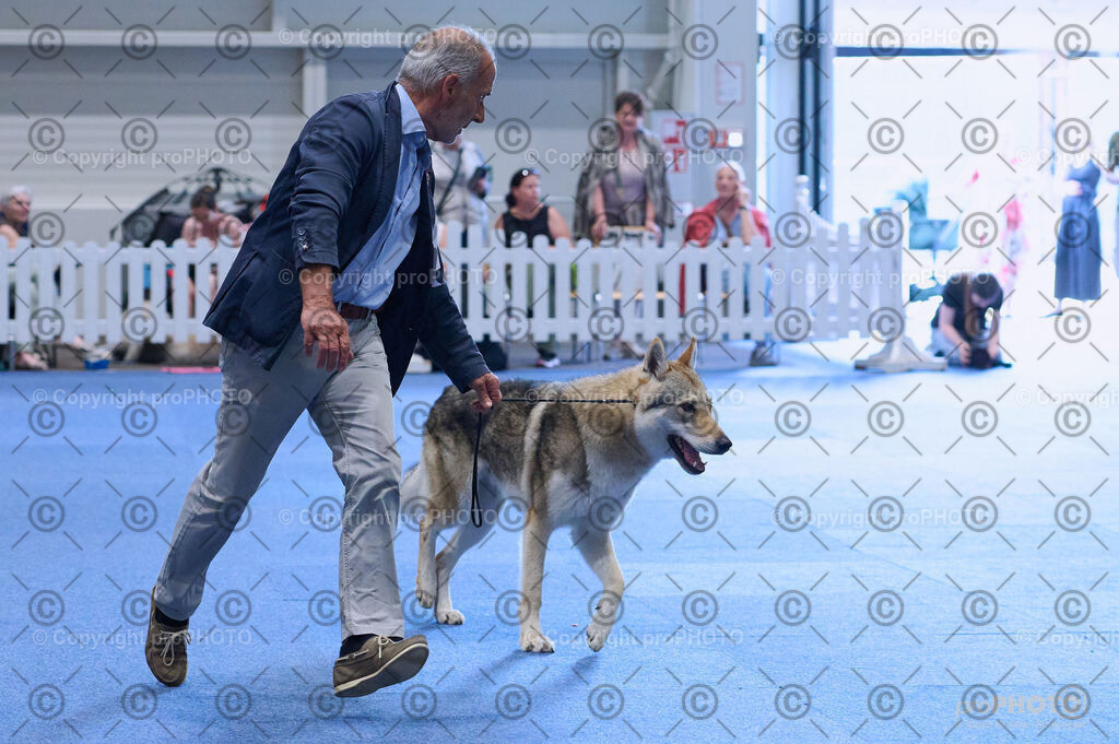 202406_ÖKV-IHA-Tulln24_DSC_3823 | proPHOTO - Realisiert mit Pictrs.com