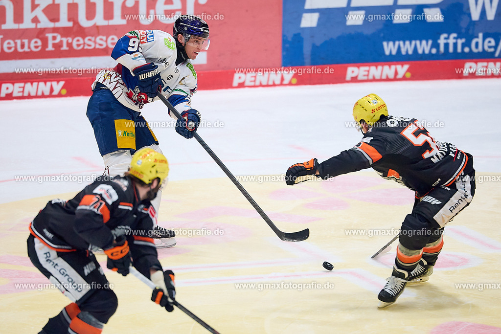 Löwen-Eisbären_250219_82 | gmaxfotografie Oelze-de Stoppany Fotograf Schwäbisch Gmünd Stuttgart Frankfurt Gerald