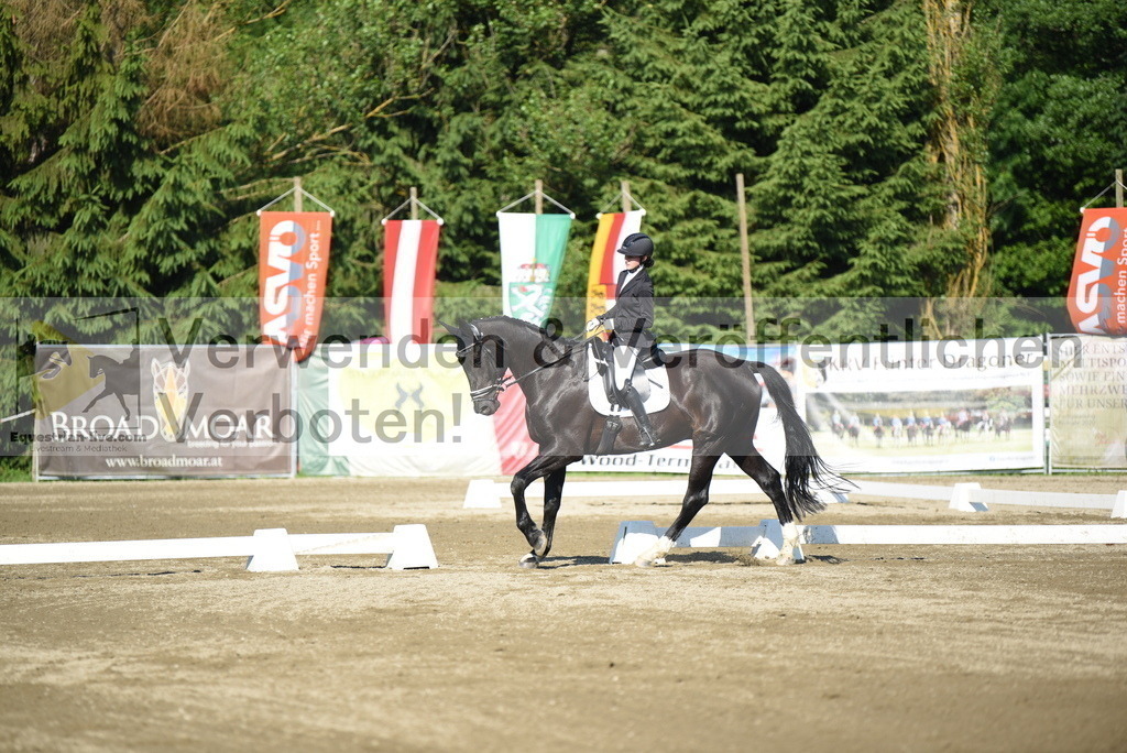 DSC_6925 | equestrian-live-com