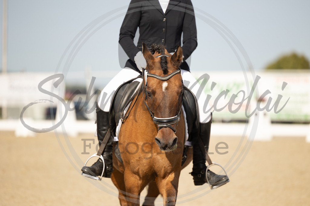 994A1338 | sabrinanicolaifotografie - Realisiert mit Pictrs.com