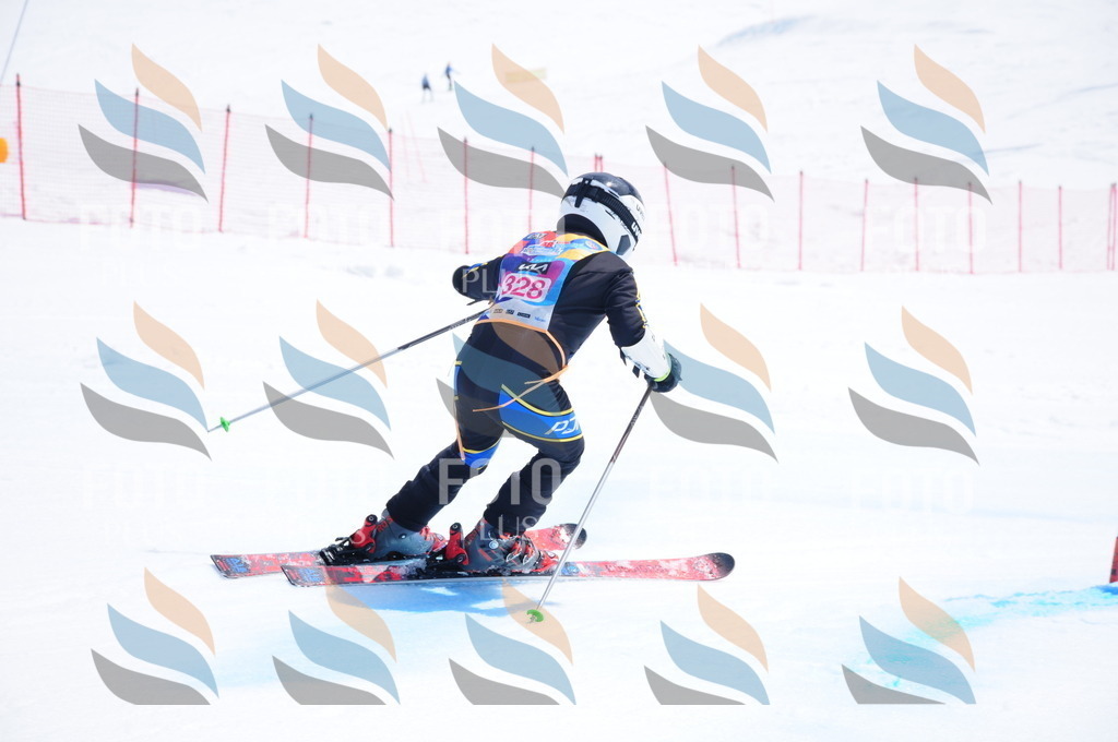 DSC_6919 | holidayphoto