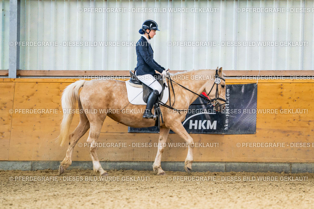 DSC03547 | Pferdegrafie