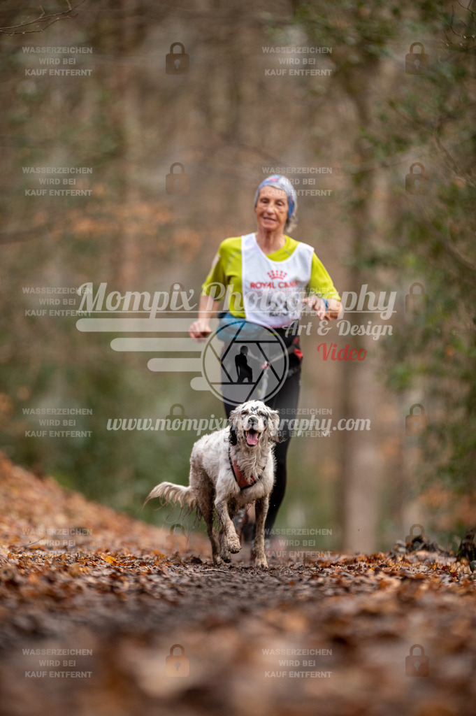 SPA_2023_DIM_CCL-118 | PayLife