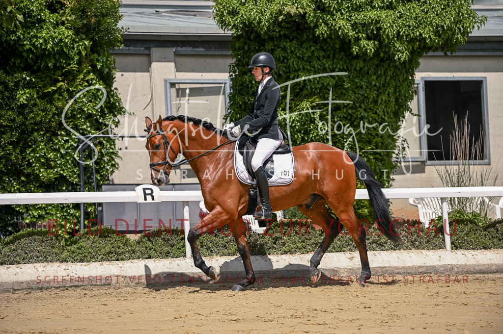 Schugtsche-Aluta25-48.Reitpferfdeprf.-218 | Schugtsche Fotografie - Realisiert mit Pictrs.com