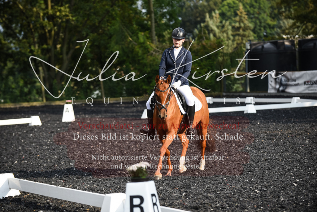 DSC_3430 | Pferde- und Turnierfotografie in Westsachsen. Pferdeportraits, Auftragszeichnungen und intuitive Kunst.