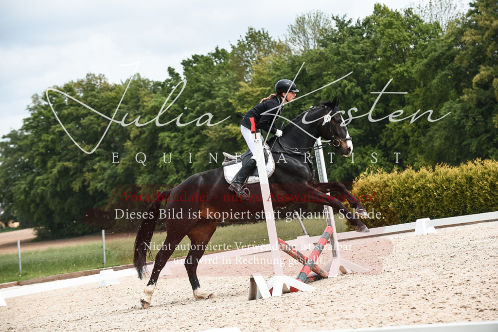 20230518_JK-Röhrsdorf-10-835 | Pferde- und Turnierfotografie in Westsachsen. Pferdeportraits, Auftragszeichnungen und intuitive Kunst.