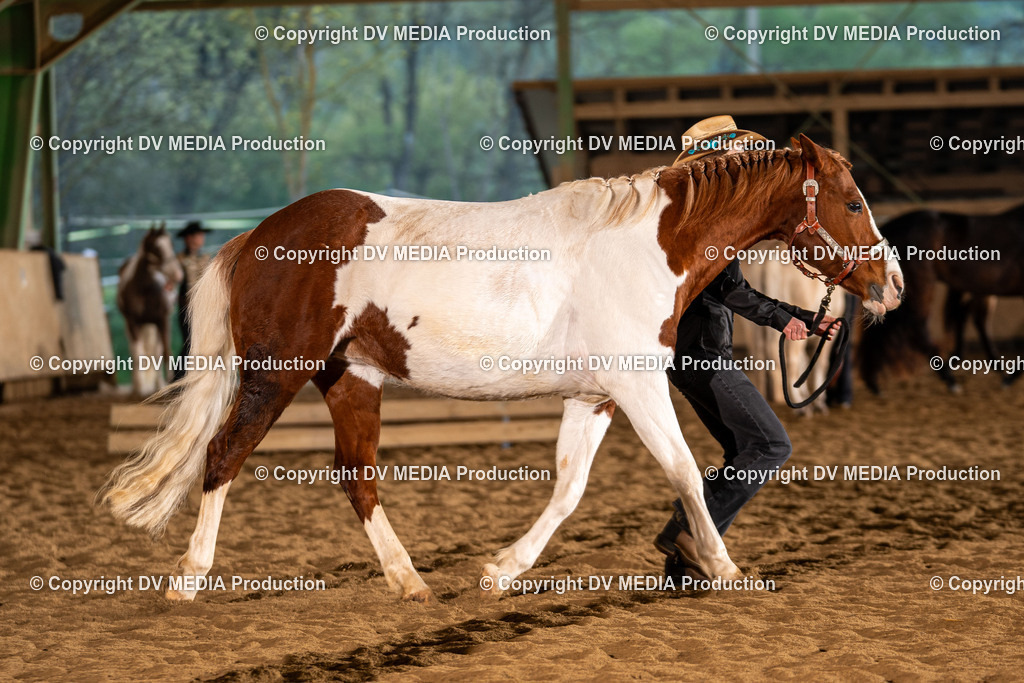 Balingen Tag 1-110 | dv-media-shop - Realisiert mit Pictrs.com