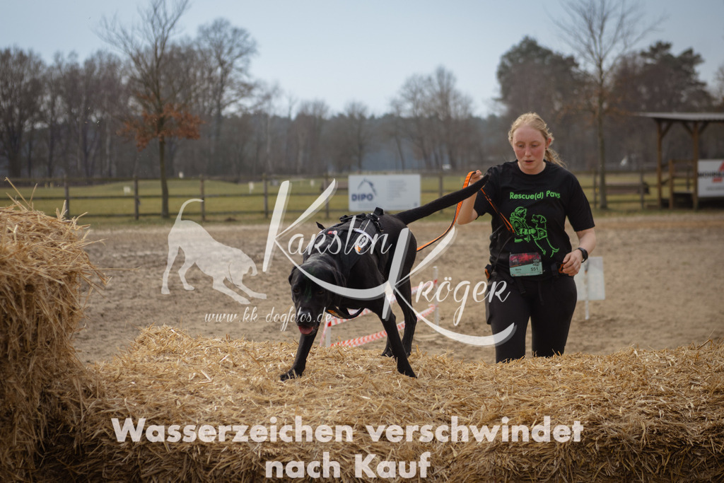 1225_ZZ95675 | kk-dogfotos