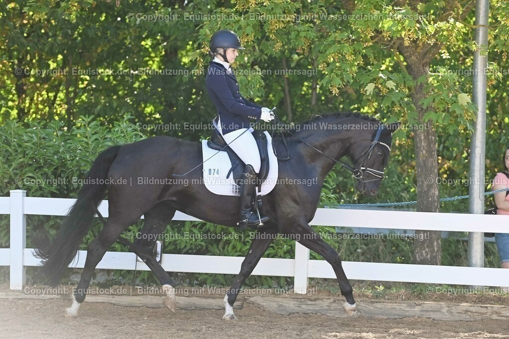 20230715_06_Dressurpferdeprfg. Kl.A_0240 | equistock