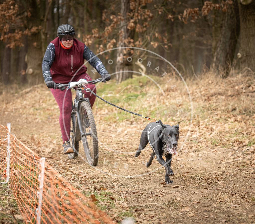 Pfotenfotografie_DV3A3363 | Hundefotografie, Tierfotograf, Pfotenfotografie, Fotoshooting Hund, Hunde Portrait, Hundesport, Hundeportraits, Heideshooting, Hunde, Sportfotograf, Hundefotograf, Turnierhundsport, THS,  - Realisiert mit Pictrs.com