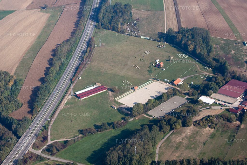 Luftbild: Haras de la Née in Mothern im Bundesland Bas-Rhin in Frankreich. – Foto: IMG_45908.jpg vom 16.10.2011 durch Werner Riehm/FLY-FOTO.de – Auflösung des Originals: 4083 x 2722 px