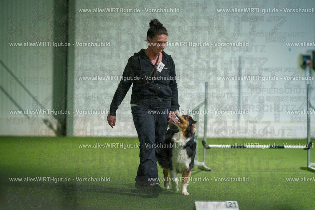 7R506963 | Professionelle Tierfotografie in Mönchengladbach von Daniel Wirth (allesWIRTHgut). Liebevolle & natürliche Bilder von Hunden & Katzen für unvergessliche Erinnerungen.