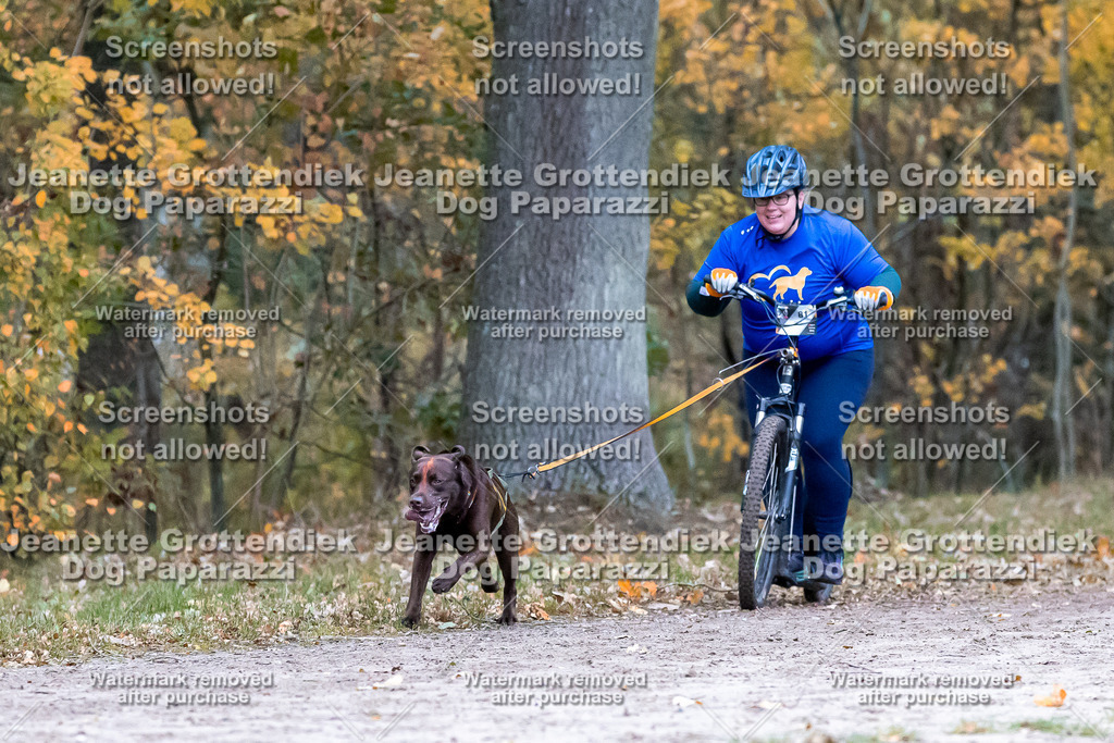 Dog Paparazzi - SD CaniX Championship 2025-188 | Dog Paparazzi Jeanette Grottendiek Fotografie & Videografie - Realisiert mit Pictrs.com