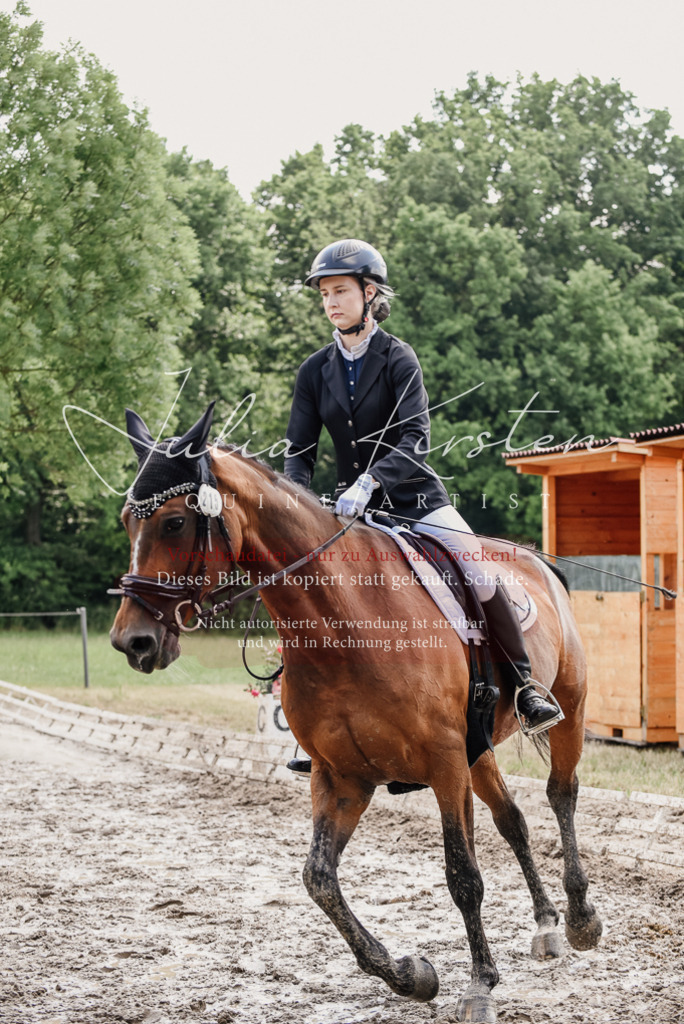 DSC_0439 | Pferde- und Turnierfotografie in Westsachsen. Pferdeportraits, Auftragszeichnungen und intuitive Kunst.