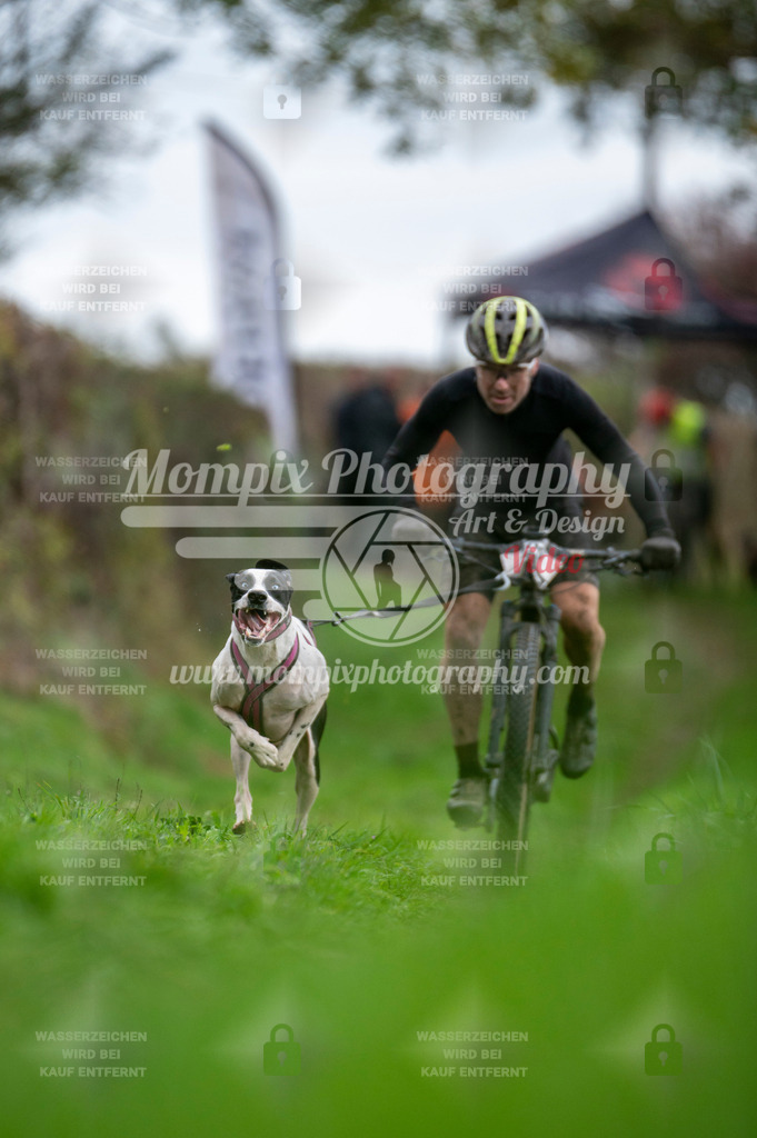 TSB_2023_E8_Bike-5 | PayLife