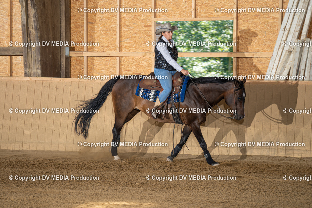 DSC00164 | dv-media-shop - Realisiert mit Pictrs.com