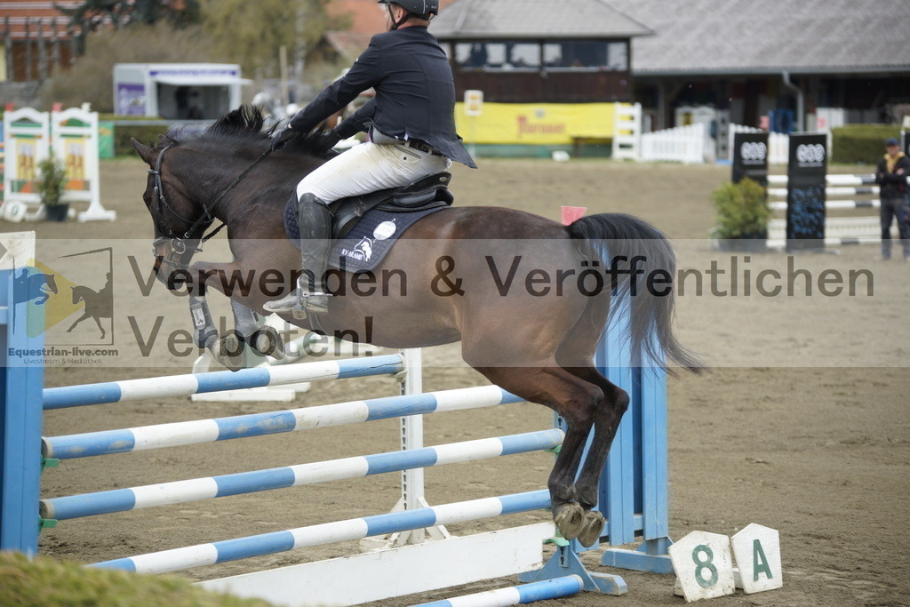 _DSC7100 | equestrian-live-com
