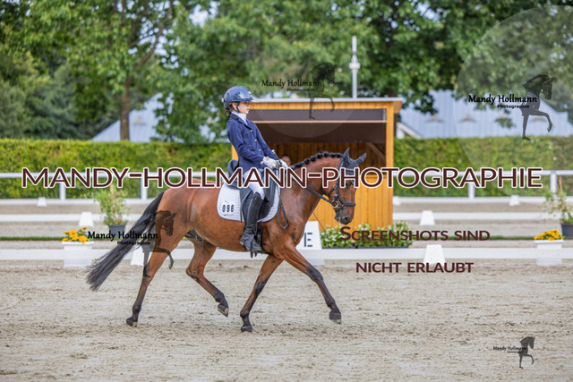 DRE L 6j (764 von 969) | mandyhollmannphotographie