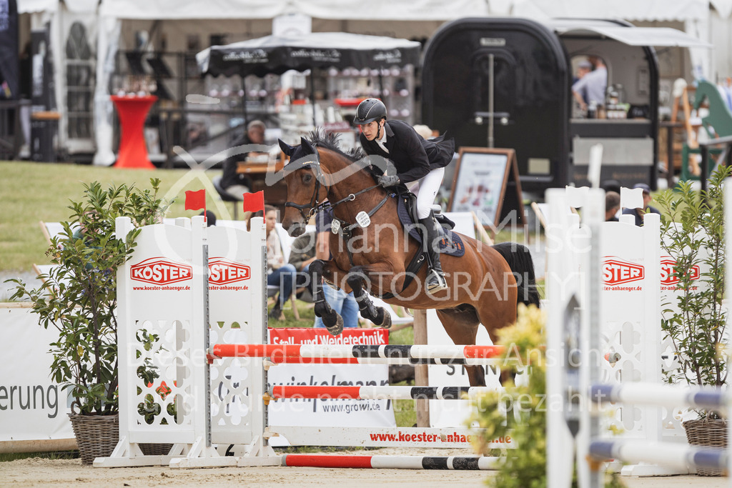 250710_BHO_Stil-A1-2-157 | Deine schönsten Turniermomente als professionelle Fotos! Entdecke hochwertige Pferdesport-Fotografie im Online-Shop. Jetzt Fotos finden & bestellen!
