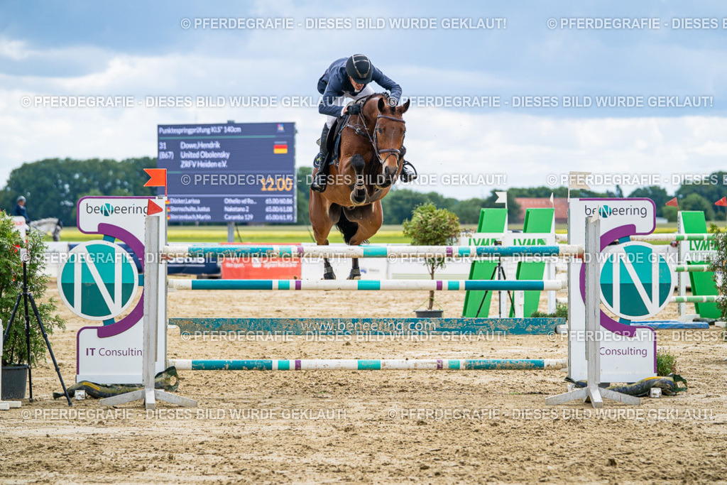 DSC06157 | Pferdegrafie