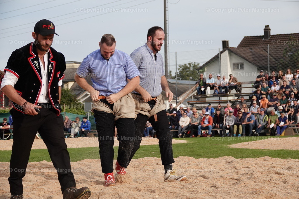 DSC08432 | Schwingen - Realisiert mit Pictrs.com
