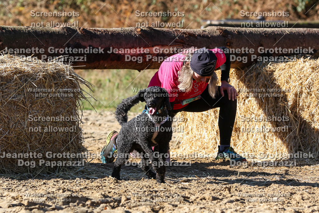 Dog Paparazzi - Strongdog 10-25-2695 | Dog Paparazzi Jeanette Grottendiek Fotografie & Videografie - Realisiert mit Pictrs.com