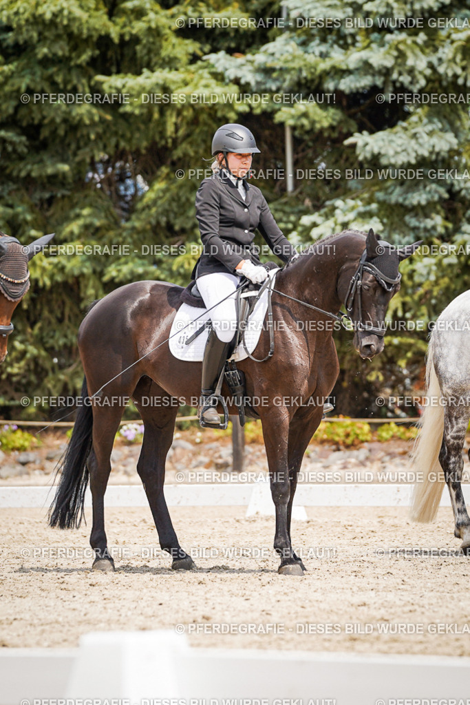 DSC03457 | Pferdegrafie