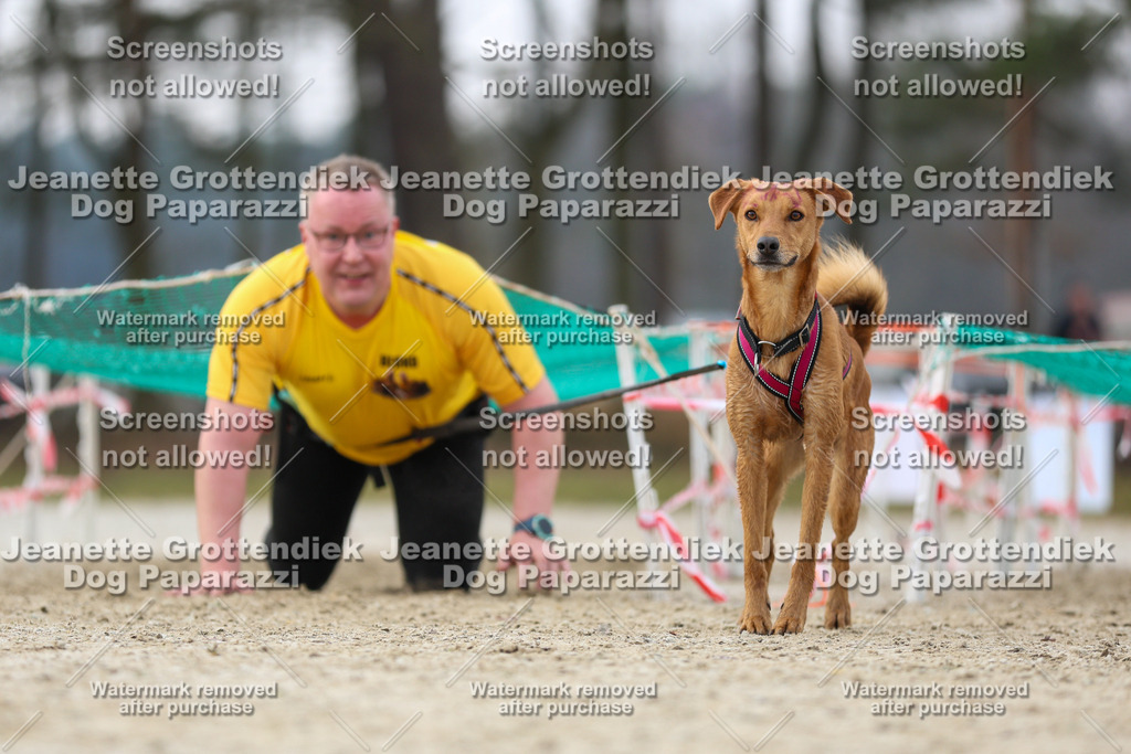 Dog Paparazzi - Strongdog North Mrz26-4498 | Dog Paparazzi Jeanette Grottendiek Fotografie & Videografie - Realisiert mit Pictrs.com