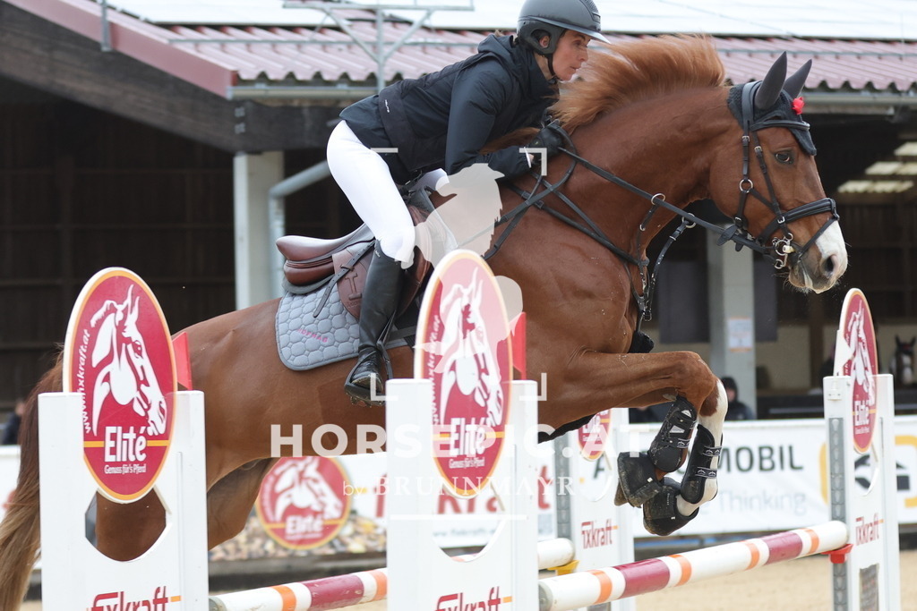0P6A6653 | Willkommen bei Brunnmayr - Design & Fotografie – Ihrem Spezialisten für Reitturniere und Pferdeveranstaltungen in Oberösterreich, Salzburg und Bayern! Seit über 17 Jahren sind wir leidenschaftlich dabei.