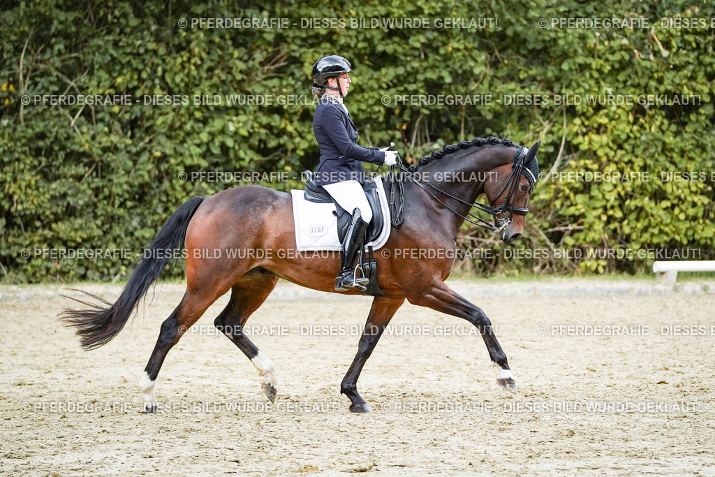 DSC06470 | Pferdegrafie