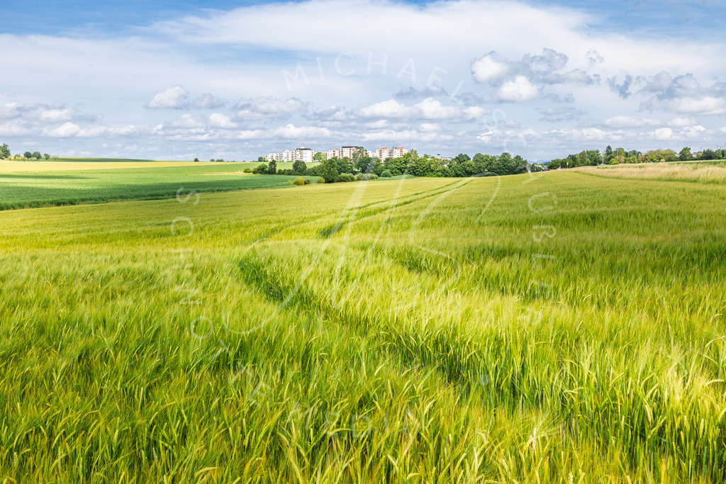 2025-06-15 Hemmingen Felder 004 | Schwotte Media - Realisiert mit Pictrs.com