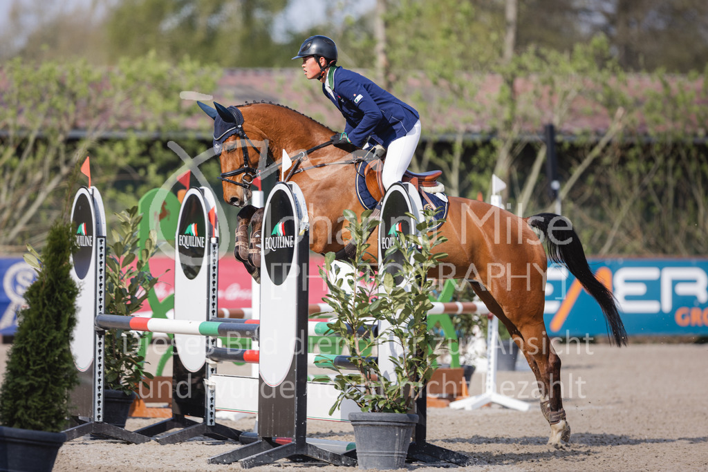 220426_Mühlen_SprPfA1-118 | Late Entry Mühlen
26.04.2022
01 Springpferde-A* 4-6j