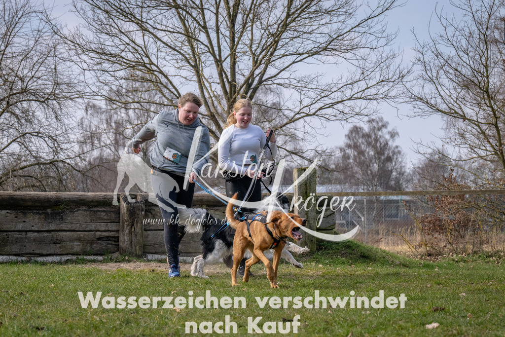 _ZZ90637 | kk-dogfotos