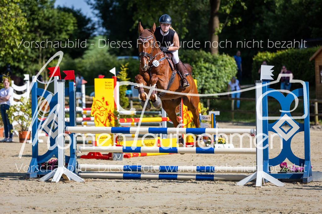 Donop24-ASpr-014 | MomenTaufnahmen Pferdesportfotos