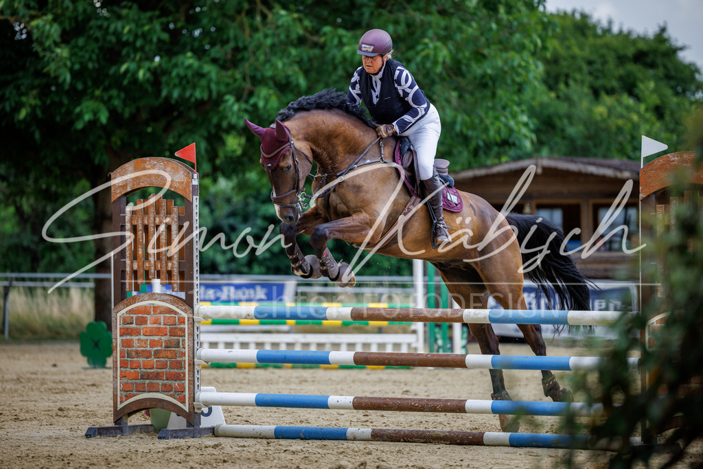 20260705-_3LI5384 | Tierfotografie Pferde, Hunde, Katzen, Haustiere.
Turnierfotografie Reitturniere, Reiten, Springreiten, Dressur in Hanau, dem Main-Kinzig-Kreis und dem Rhein-Main- Gebiet um Frankfurt