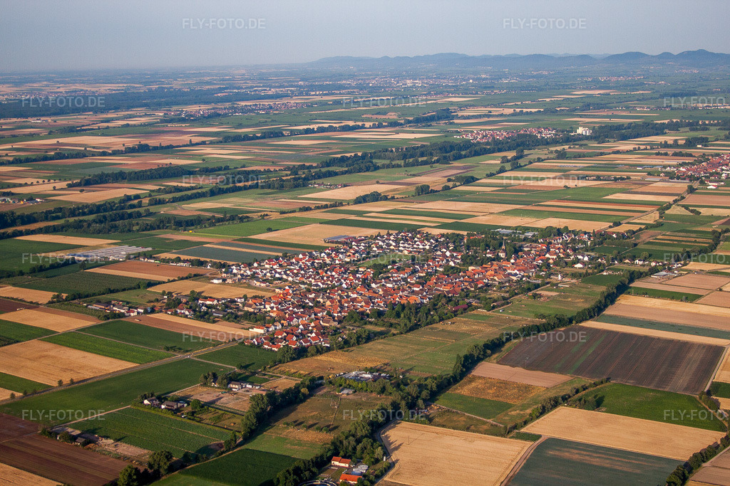 Luftbild: landwirtschaftlichen Feldern und Nutzflächen in Gommersheim im Bundesland Rheinland-Pfalz in Deutschland. Foto: IMG_69613.jpg vom 04.07.2014 durch Werner Riehm/FLY-FOTO.de