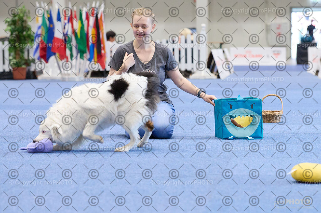 202406_ÖKV-IHA-Tulln24_DSC_4498 | proPHOTO - Realisiert mit Pictrs.com