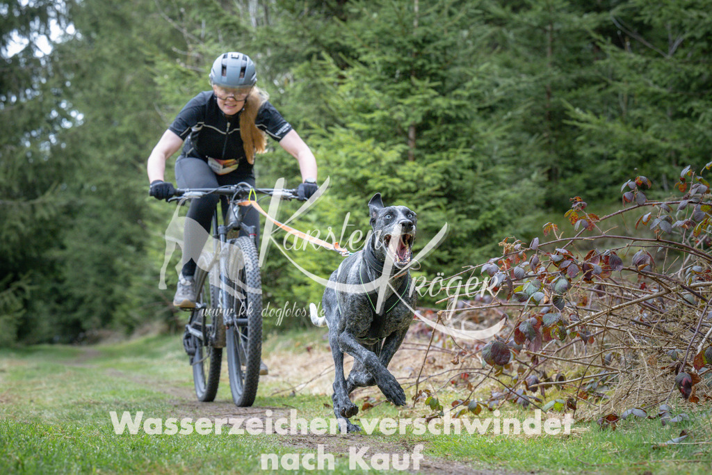 1310_ZZ93857 | kk-dogfotos