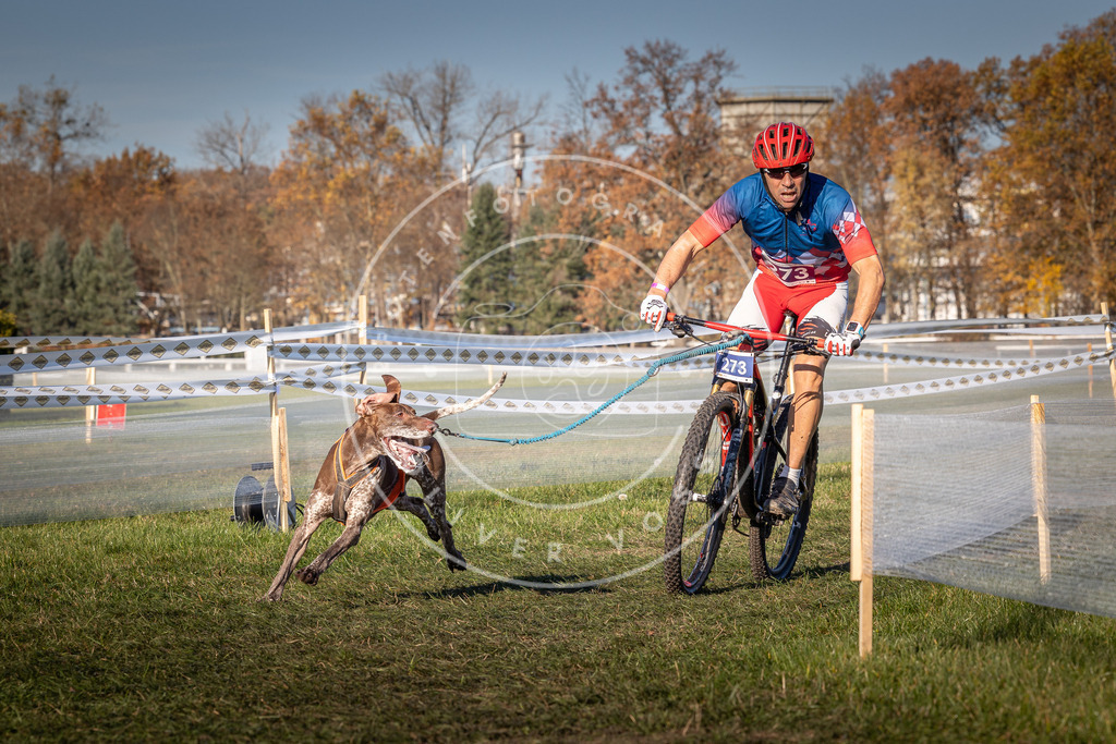 CaniXpix_0L8A5147 | Hundefotografie, Tierfotograf, Pfotenfotografie, Fotoshooting Hund, Hunde Portrait, Hundesport, Hundeportraits, Heideshooting, Hunde, Sportfotograf, Hundefotograf, Turnierhundsport, THS,  - Realisiert mit Pictrs.com