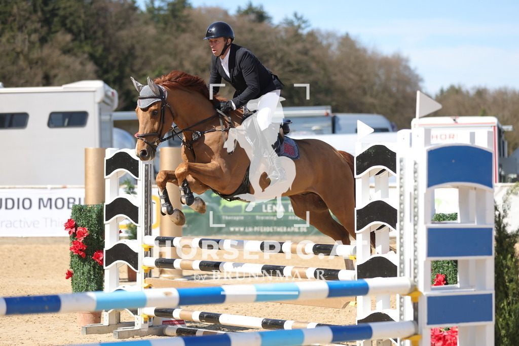 0P6A7624 | Willkommen bei Brunnmayr - Design & Fotografie – Ihrem Spezialisten für Reitturniere und Pferdeveranstaltungen in Oberösterreich, Salzburg und Bayern! Seit über 17 Jahren sind wir leidenschaftlich dabei.