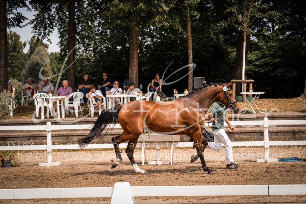 2. Fr00075 | Leoni Ertmer Photography - Realisiert mit Pictrs.com