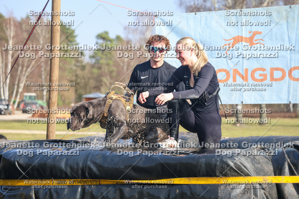 Dog Paparazzi - Strongdog North Mrz26-2909 | Dog Paparazzi Jeanette Grottendiek Fotografie & Videografie - Realisiert mit Pictrs.com