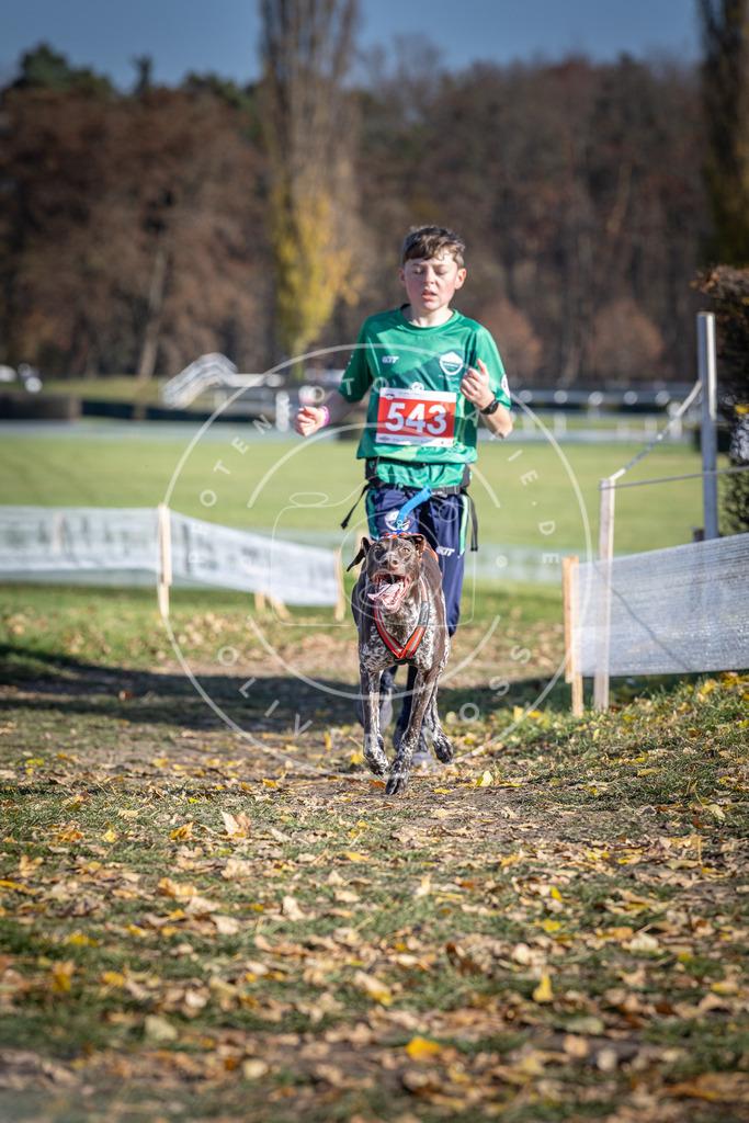 CaniXpix_DV3A8391 | Hundefotografie, Tierfotograf, Pfotenfotografie, Fotoshooting Hund, Hunde Portrait, Hundesport, Hundeportraits, Heideshooting, Hunde, Sportfotograf, Hundefotograf, Turnierhundsport, THS,  - Realisiert mit Pictrs.com