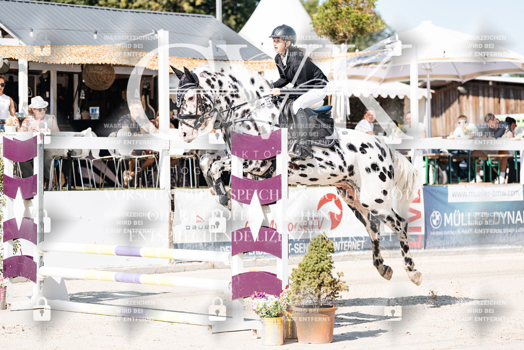 CK905019 | Turnierfotografie Pferdefotografie Trier Rheinland-Pfalz Pferdesport Reitsport Tierfotografie Sportfotografie Pferdevideo Pferdevideografie Equestrianvideography equestrianphotography  - Realisiert mit Pictrs.com