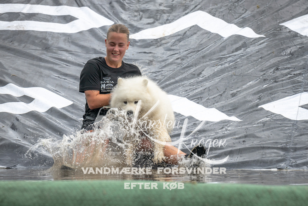 1412_ZZ94727 | kk-dogfotos