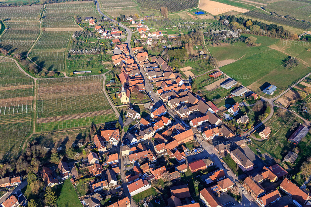 Vue aérienne: Vue de la ville depuis le sud-ouest à Rott dans le département Bas Rhin, France – .Photo: IMG_130944.jpg prise le 22/03/2022 par Werner Riehm/FLY-FOTO.eu – Résolution de l'original: 4761 x 3174 px