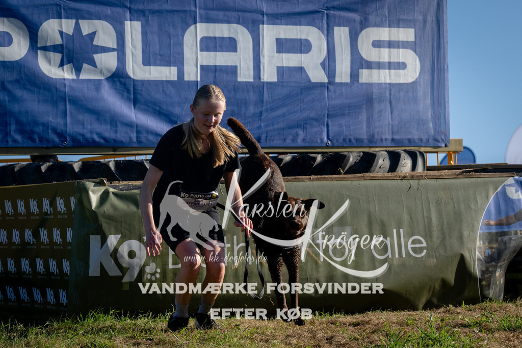 0845_ZZ94899 | kk-dogfotos