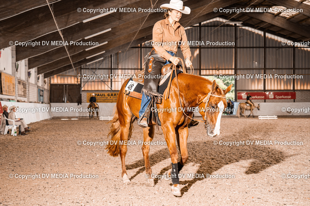 ZH100539 | dv-media-shop - Realisiert mit Pictrs.com