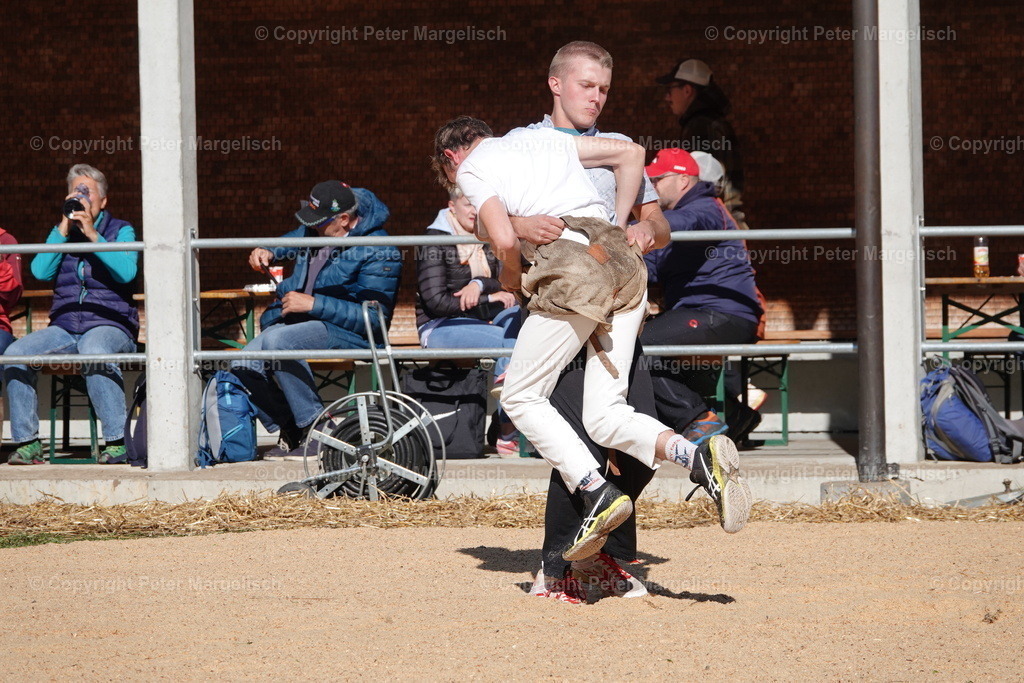 DSC00008 | Schwingen - Realisiert mit Pictrs.com