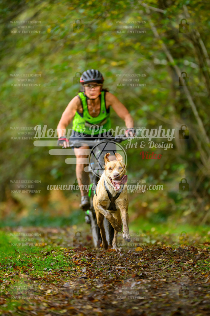 MompixPhotography_20TSB_E1_Bike-77 | PayLife